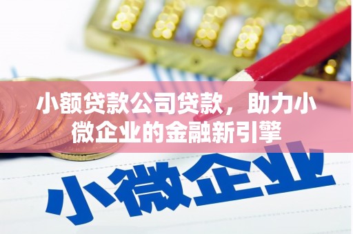 圣方济各堂区小额贷款公司贷款，助力小微企业的金融新引擎