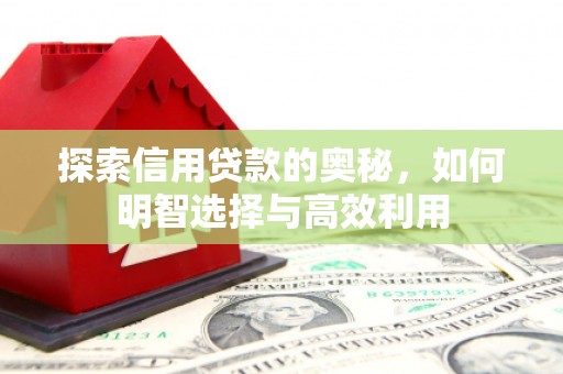 武江探索信用贷款的奥秘，如何明智选择与高效利用