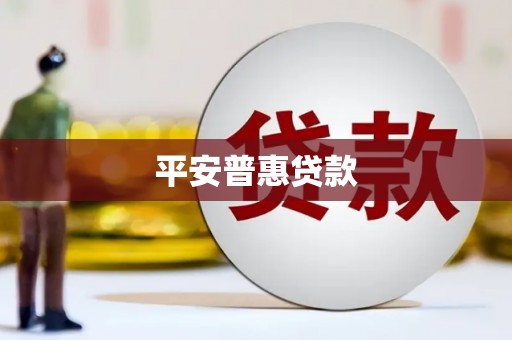 永善平安普惠贷款