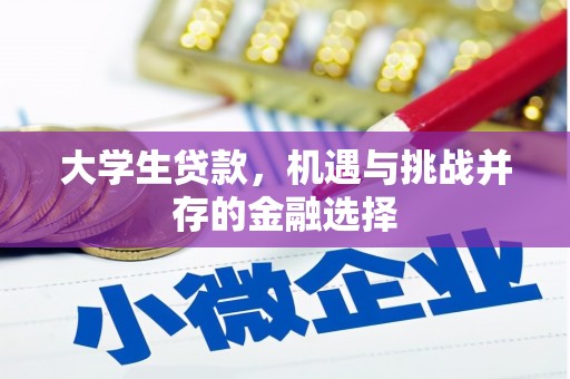 山东大学生贷款，机遇与挑战并存的金融选择
