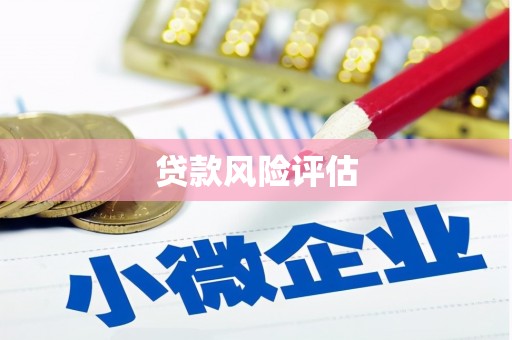 金秀贷款风险评估