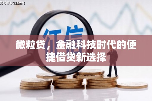 额济纳旗微粒贷，金融科技时代的便捷借贷新选择