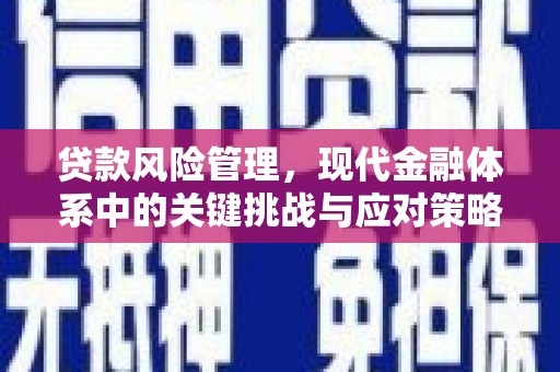 容县贷款风险管理，现代金融体系中的关键挑战与应对策略