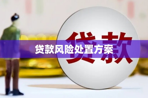 银海贷款风险处置方案