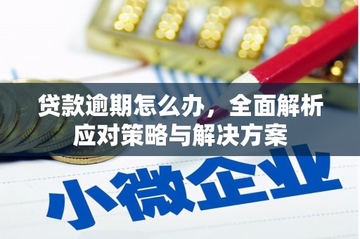 扎囊贷款逾期怎么办，全面解析应对策略与解决方案