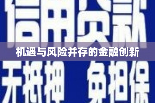 桃山机遇与风险并存的金融创新