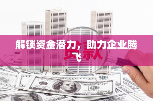 罗山解锁资金潜力，助力企业腾飞