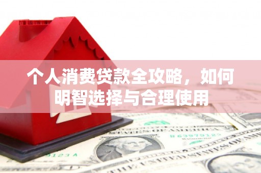 西海岸个人消费贷款全攻略，如何明智选择与合理使用