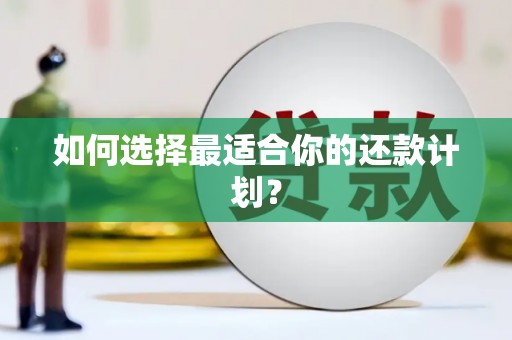 狮子山如何选择最适合你的还款计划？
