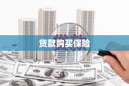 圣方济各堂区贷款购买保险