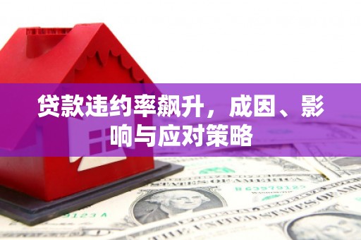 南庄贷款违约率飙升，成因、影响与应对策略